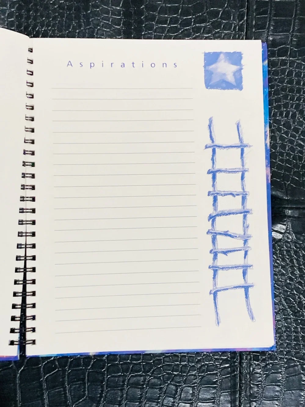 NEW The Book of Goals Journal Spiral Notebook by First Steps San Francisco